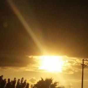 Meet your Posher, Gladis